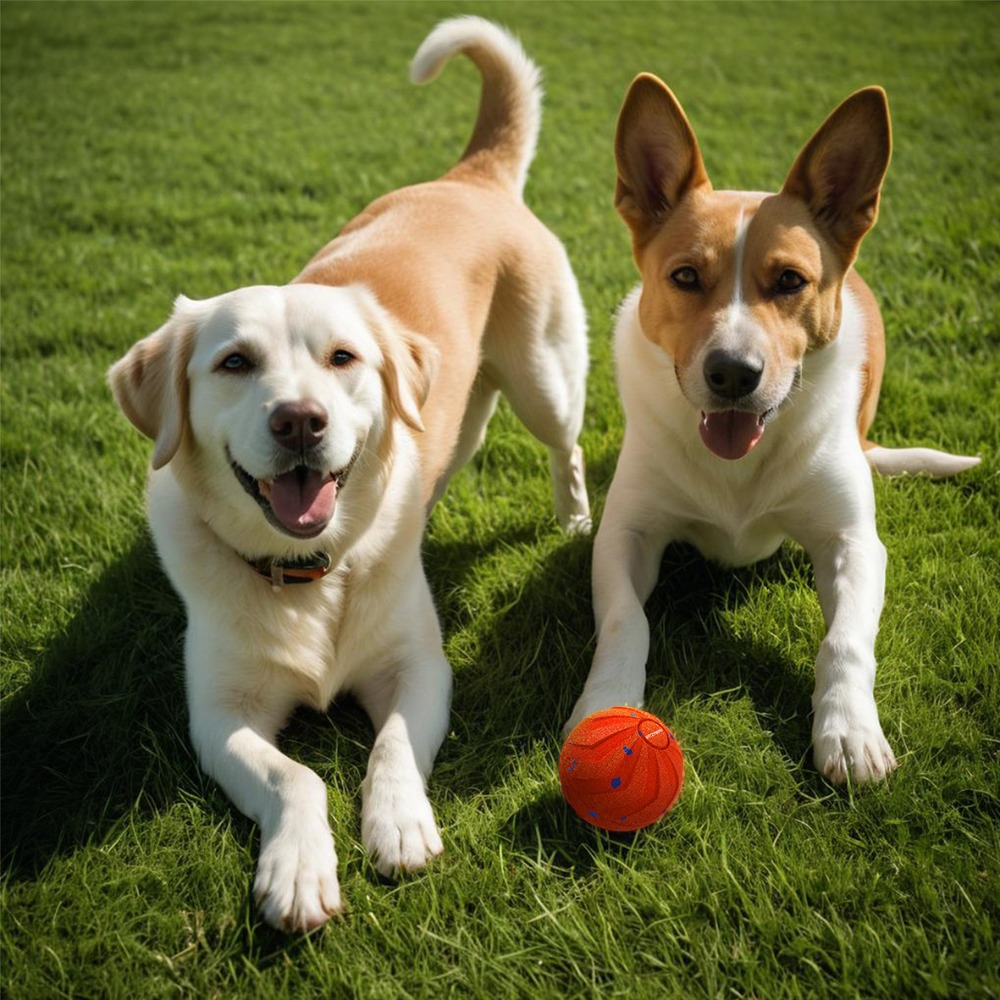 Automatic Moving Dog Ball - Odporne na ugryzienia inteligentne piłki dla