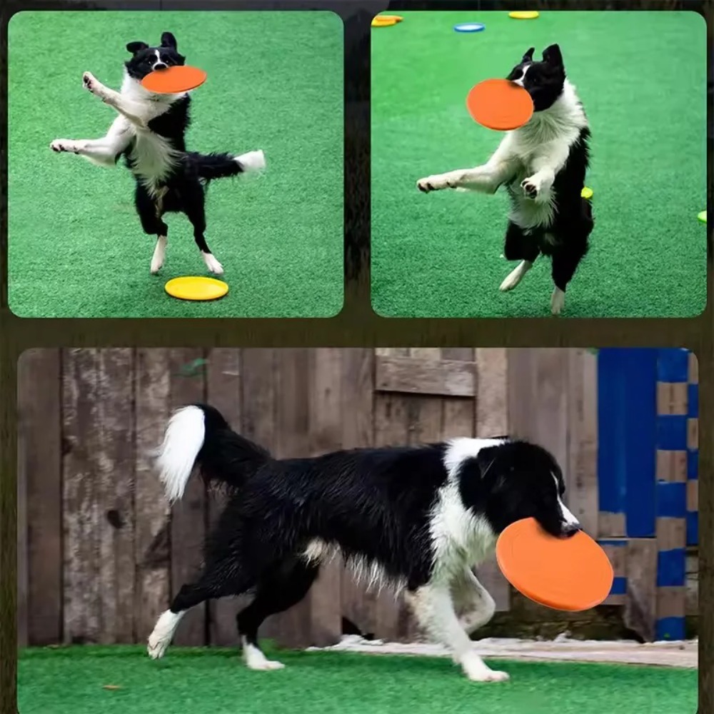 Flying Disc Dog Training Toy - Latający dysk dla psa TPR, interaktywna