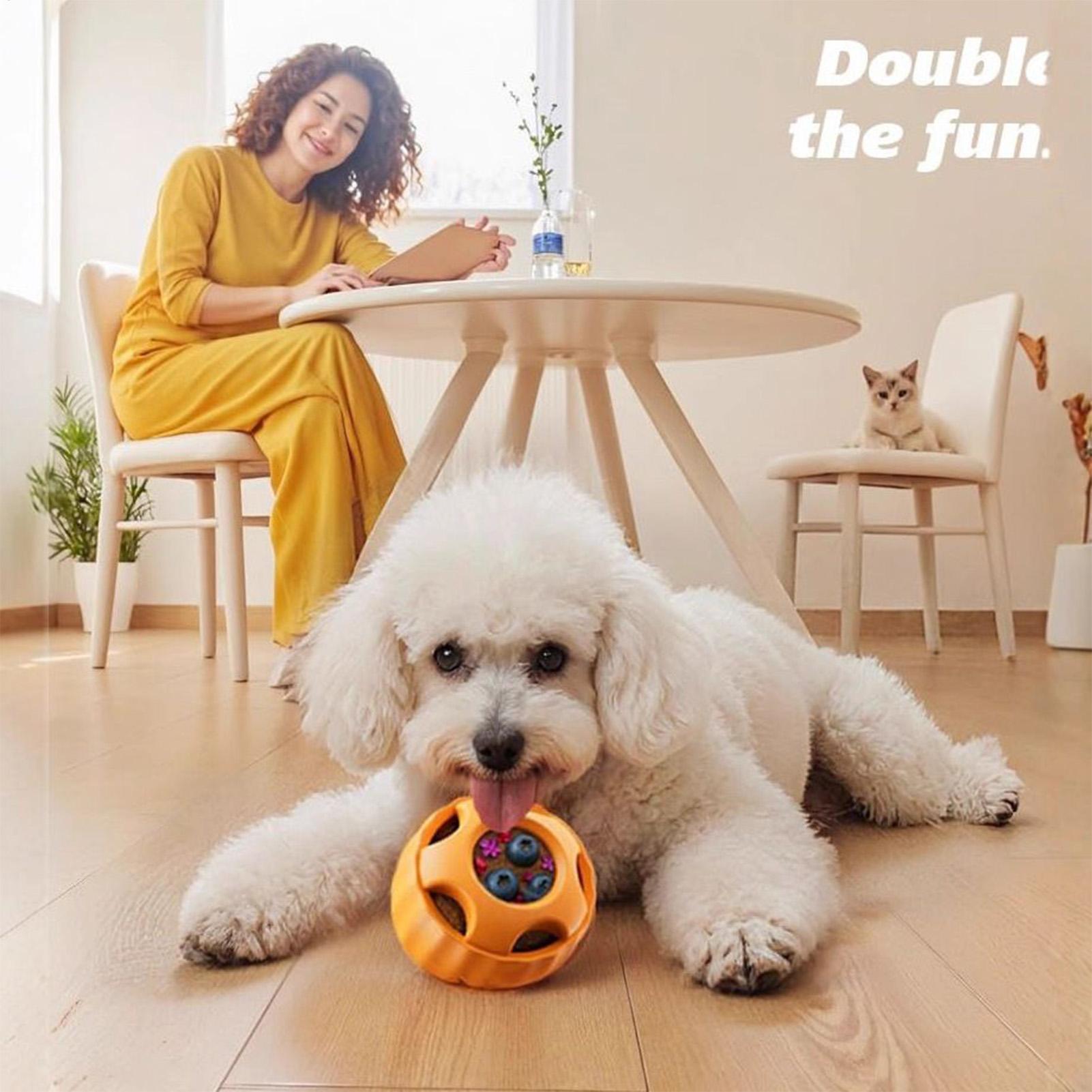 Zabawki dla psów dozujące smak – Dog Puzzle Feeder Toy recenzja i cena