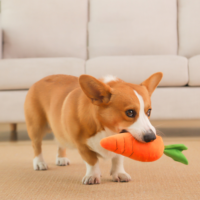 HOOPET Zabawka dla psa Zabawka – Indestructible Dog Chew Toy recenzja i cena