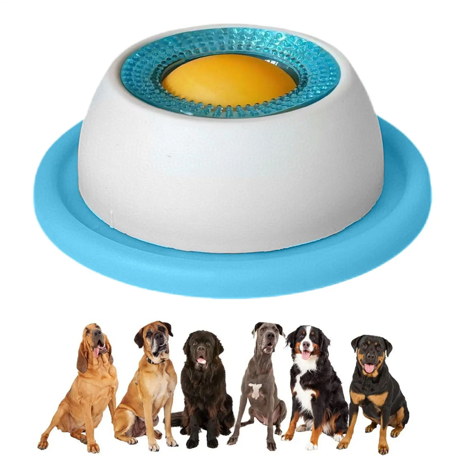Akcesoria do karmienia zwierzą – Dog Puzzle Feeder Toy recenzja i cena