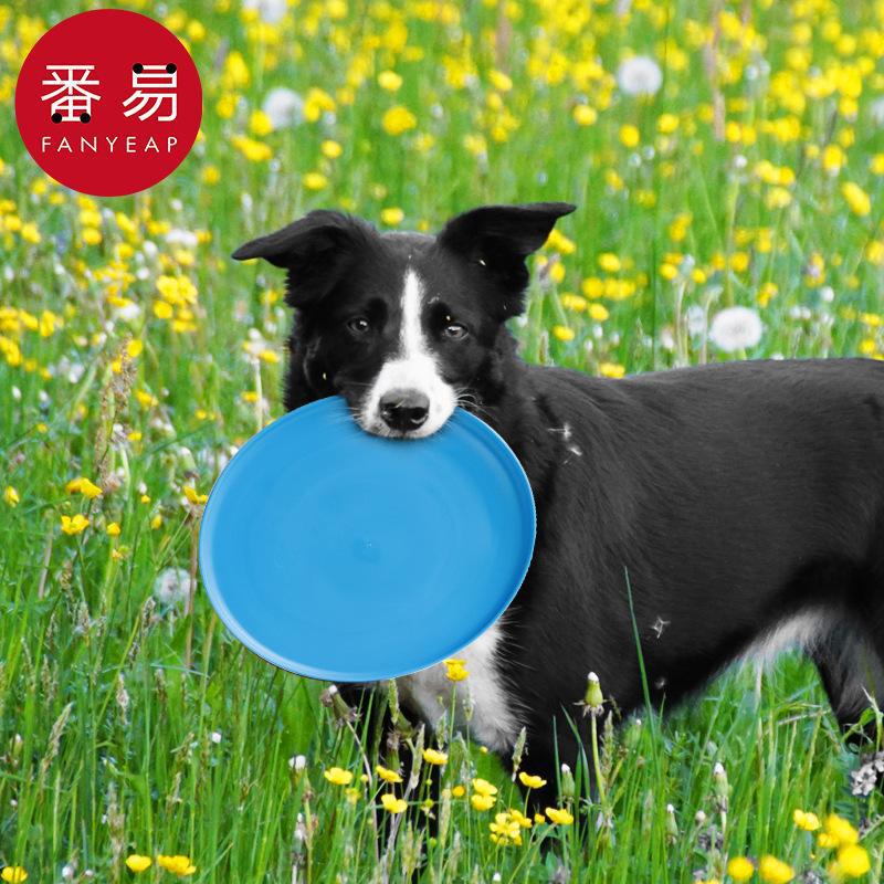 Frisbee/Zabawka dla zwierząt A – Flying Disc Dog Training Toy recenzja i cena