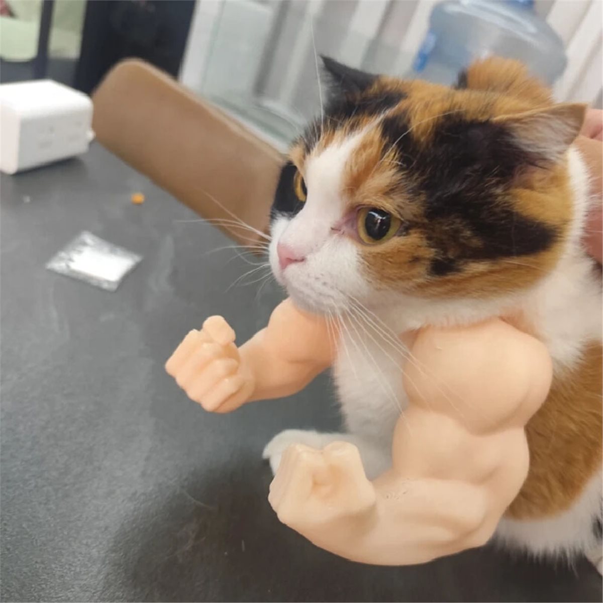 Nowy Zawieszka Mięśniowa Ręka  – Cat Toys recenzja i cena